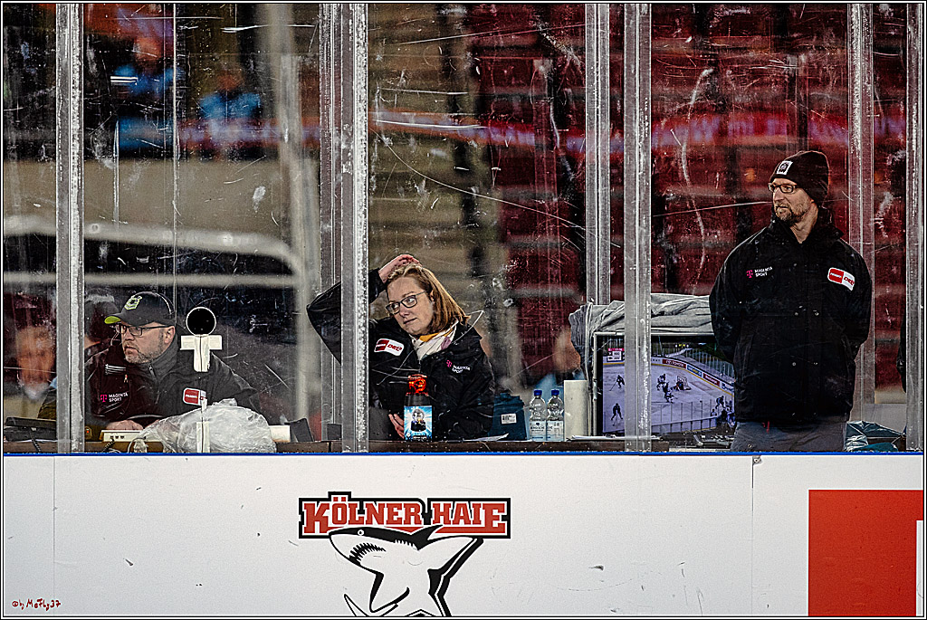 PENNY DEL;  Koelner Haie - Augsburger Panther; Koeln, 08.01.2023